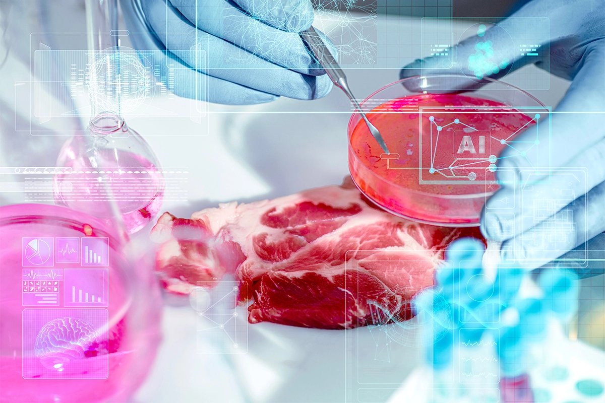 Raw pork steak examined next to a petri dish in a biotech laboratory.